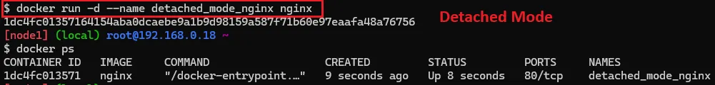 Attach and Detach From a Docker Container - background