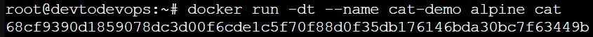 cat keep docker container alive