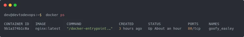 docker command