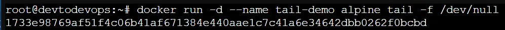 keep docker container running