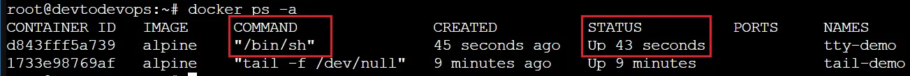 pseudo tty keep docker conntainer alive