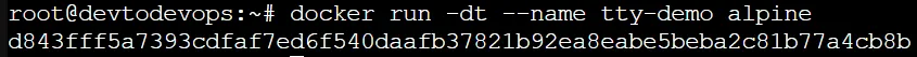 pseudo tty keep docker container alive