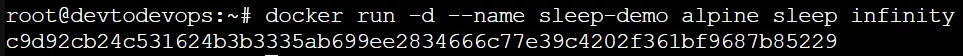 sleep infinity keep docker container running