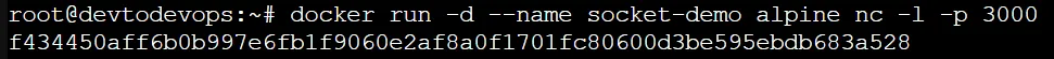 socket docker container keep alive