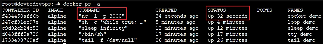 socket docker container keep running