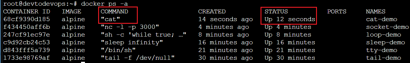 How to Keep Docker Container Running: 7 Proven Strategies 15 cat keep docker container running
