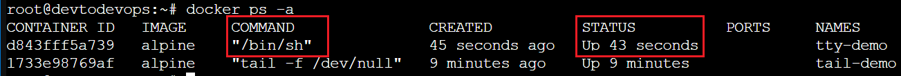 How to Keep Docker Container Running: 7 Proven Strategies 7 pseudo tty keep docker conntainer alive